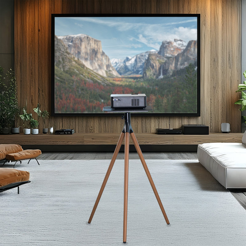 Support pour projecteur VIVO