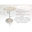 Lemen Metal Single Tier Birdbath