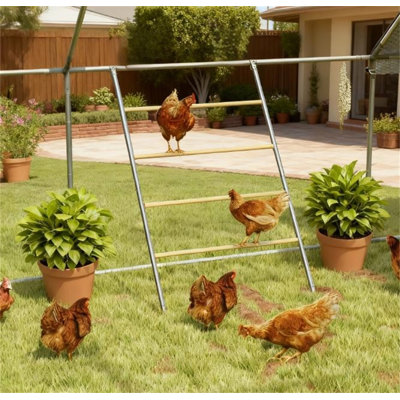 Chost Roost For Coop, barre de repos Jungle Gym, 55 po x 33,75 po