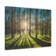 No Frame Print on Canvas-1137586228