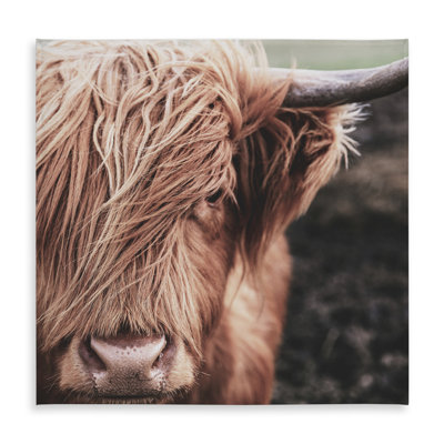 Desaturated Highland Cow Tablecloth - Farmhouse Decor, Indoor/Outdoor
