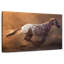 Cheval Appaloosa rapide-107704858