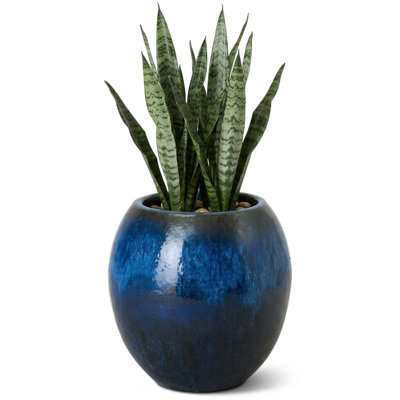 Handmade Ceramic Pot Planter