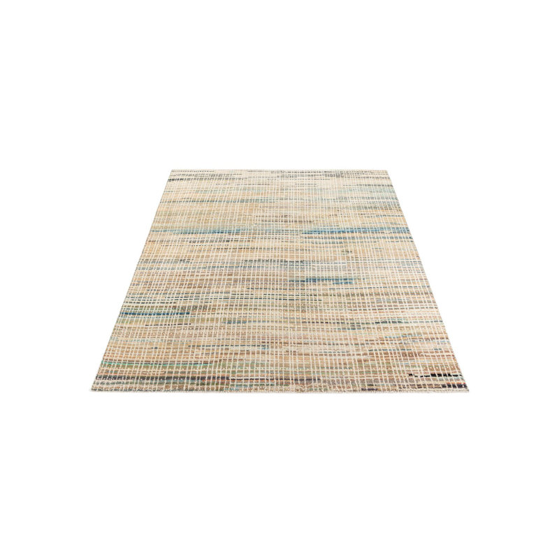 Iniguez Multi Rug
