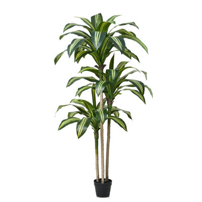 Dracaena artificiel Adcock résistant aux rayons UV, grande plante Dracaena pour la décoration intérieure intérieure