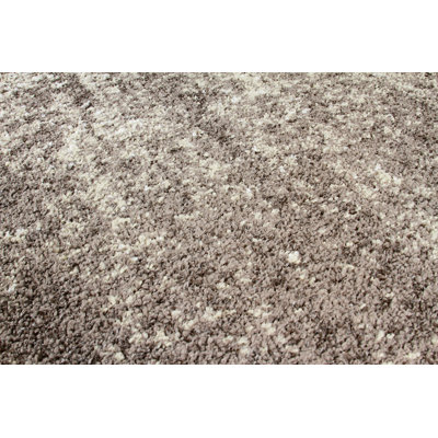 Mcginn Indoor Rug