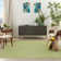Nourison Essentials Green Indoor/Outdoor Area Rug