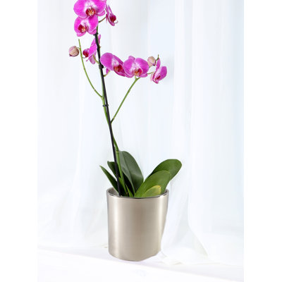 Mercer41 Silver Cylinder Aluminum Vase – Modern Decorative Flower Vase For Weddings, Events, Home Decor, And Stylish Table Centerpieces, Gift Idea
