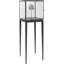 Archive 65.75" H x 20.5" W Metal Display Case