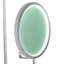 Paletta LED Armed Sconce