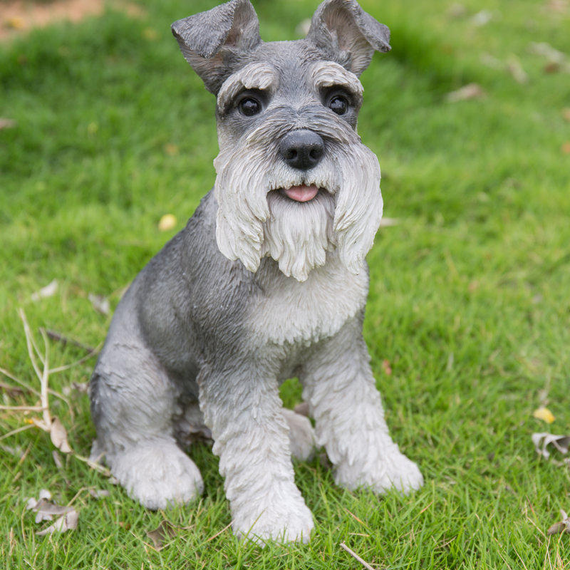 Statue Schnauzer, gris