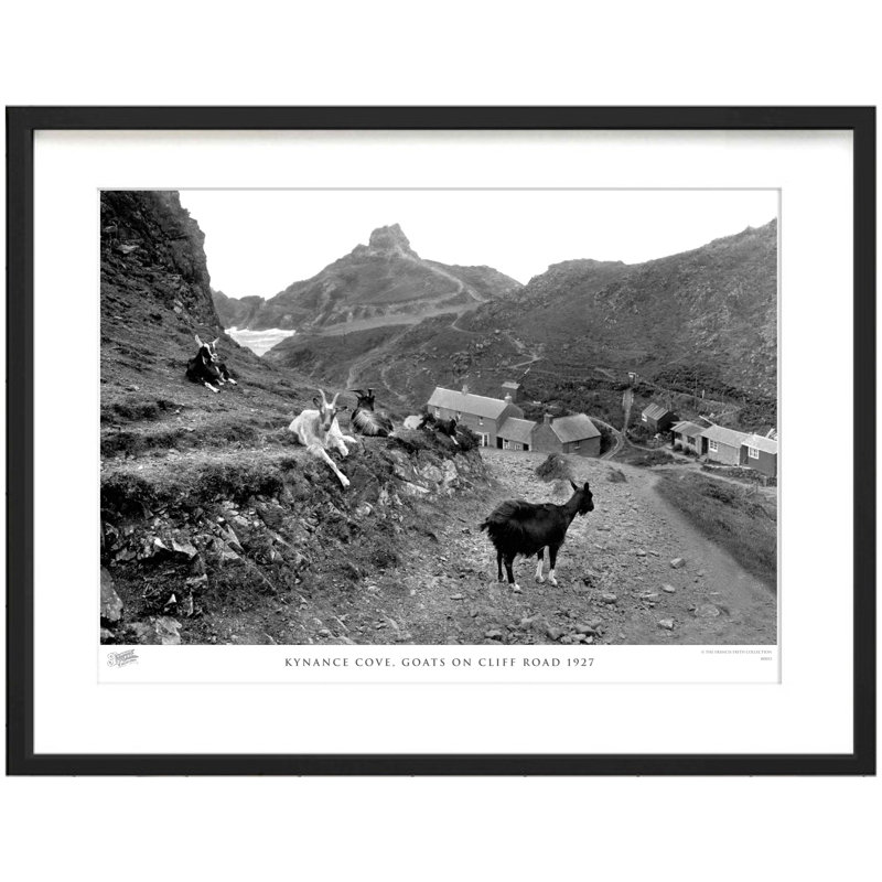 Kynance Cove, Goats On Cliff Road 1927 - Single Picture Frame Print, 40cm H x 50cm W x 2.3cm D
