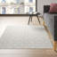 Wayne Flatweave Indoor/Outdoor Light Grey Rug-40196675