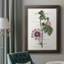 " Flower Garden Varietals IV "-177136480