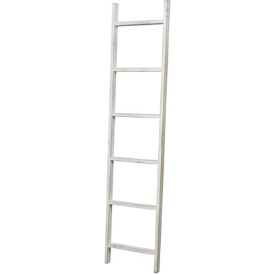 Échelle de couverture 6 pi