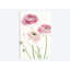 «Light And Bright Floral VI» par Elizabeth Urquhart - Giclée sur toile tendue avec châssis-31491895-73273377-73273372