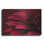 «Petals Of A Red Gerbera» par Tom Quartermaine-573768644