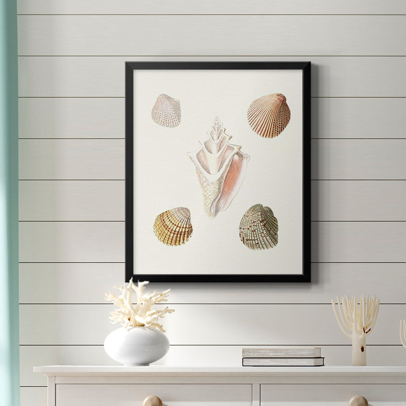 Toile encadrée Pastel Knorr Shells, H 24 po x l 20 po, Noir