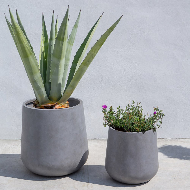 Brach Ceramic Pot Planter, Grey