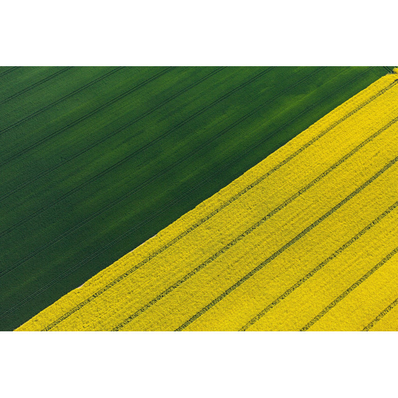 Green And Yellow Crops - Wrapped Canvas Print, 101 cm H x 152 cm W x 3.81 cm D
