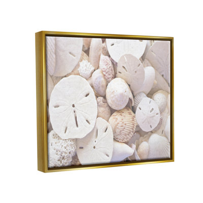 " White Mixed Sand Dollar Shells "