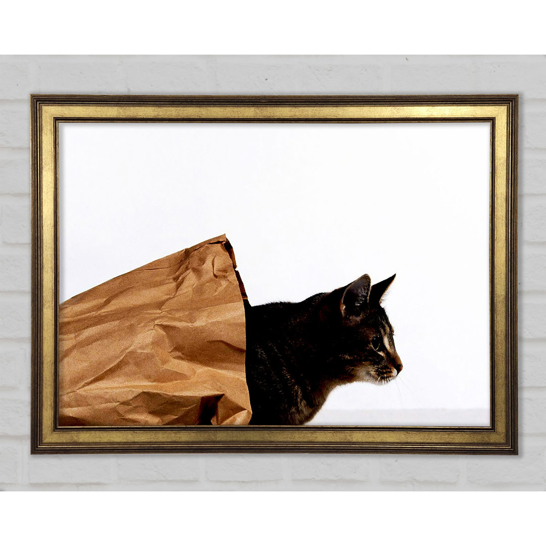 Cat In A Bag - Einzelne Bilderrahmen Kunstdrucke