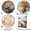 Hortensia beige minimaliste Grace I-3624648-3624651