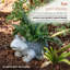 Pot de fleurs statue magnesia grenouille Willacoochee