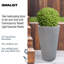 Fibreglass Plant Box-1000350187-1000350197