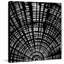 " Grand Expansion " by Marmont Hill-64627992