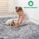 Naar Payas Area Rugs, Grey/Blue/Traditional Accent Power Loom Machine -Crafted Rug