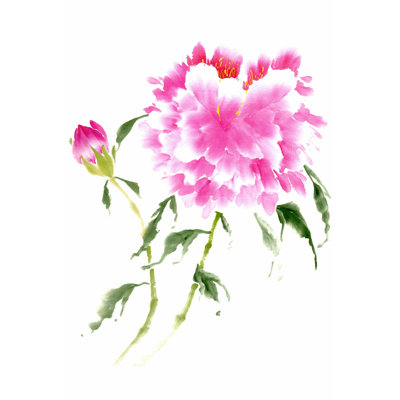 Peonies in Pink II 1 Piece Wrapped Canvas Painting
