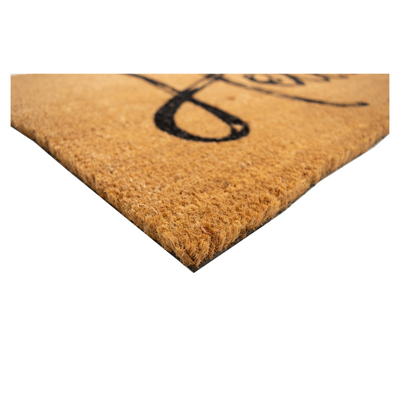 Tabetha Non-Slip Outdoor Doormat, 17" W x 29" L