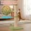 Grattoir pour chat 33 po-2104593738-2105478717