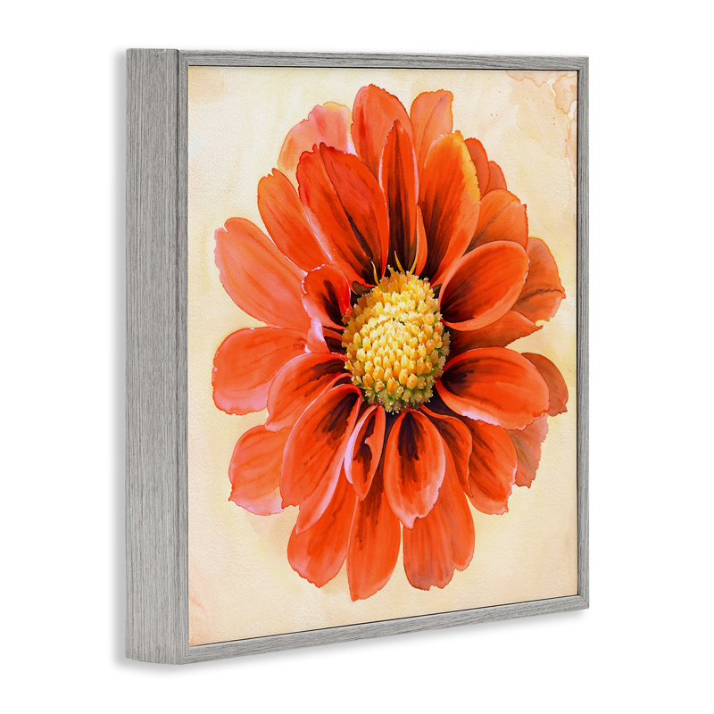 «Orange Dahlia Bloom», art de la giclée encadrée par Christine Zalewski, H 17 po x l 17 po, Estampe numérique Farmhouse