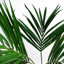 Faux Palm Plant in Pot Liner-88980144