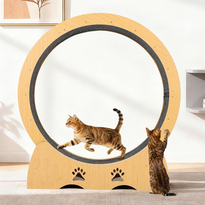 Roue d'exercice pour chat en bois Quiet