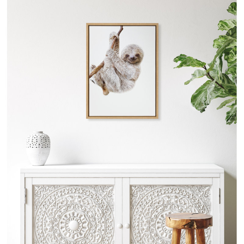 «Baby Sloth Hanging Around» par Amy Peterson, reproduction d'art sur toile encadrée, Cadre naturel