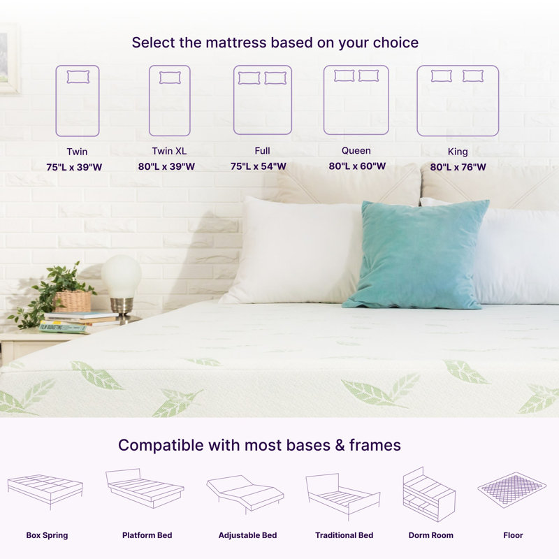 NapQueen 12" Green Tea Infused Memory Foam Queen Mattress