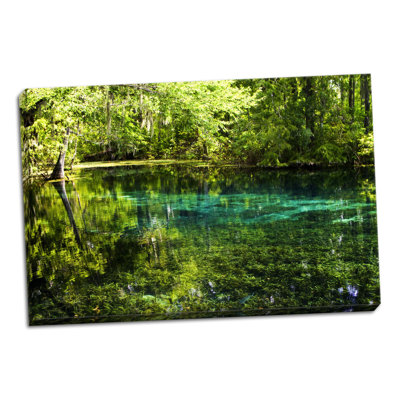 " Clear Spring Waters 1 " by Alan Hausenflock