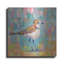 «Coastal Plover III» par Jeanette Vertentes-897376488