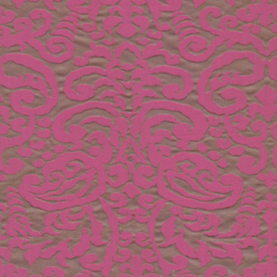 Wesco Gentry Make a Discovery Fabric