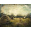 Hay Roll by Claudette - Wrapped Canvas Painting