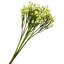 Buisson en plastique 15 po Gypsophila-1166490788