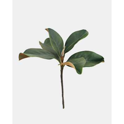Feuilles de magnolia artificielles 35,5 cm