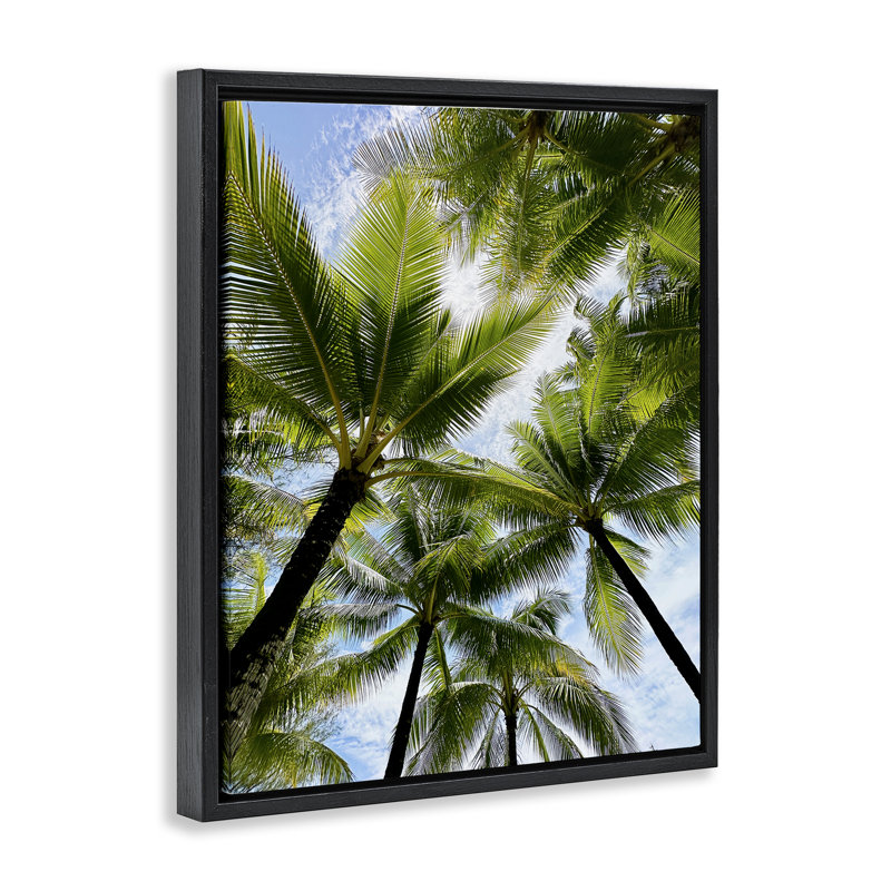 "Overhead Palm Trees", art mural encadré par Kali Wilson, Cadre flottant noir de jais, H 21 po x l 17 po