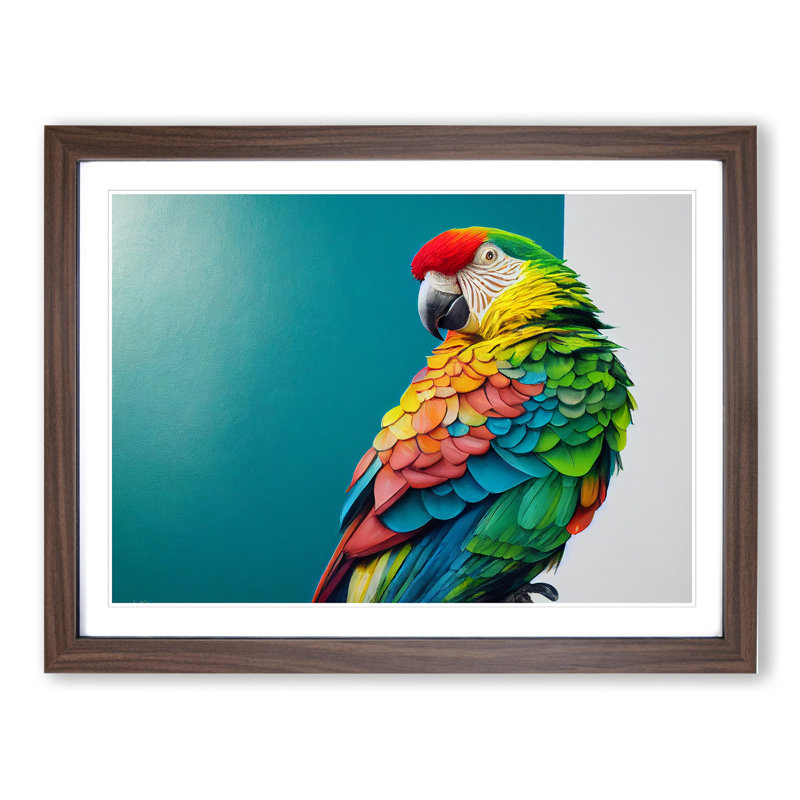 Captivating Parrot - Single Picture Frame Print, Walnut, 34cm H x 46cm W x 2cm D