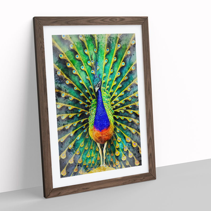 Peacock Watercolour No.1 - Framed Print, 64cm H x 46cm W x 2cm D, Walnut Framed