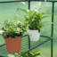 Ellerslie 4.7 Ft W x 11.8 Ft D Mini Greenhouse-399327955