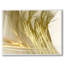 Senic Print by Rica Belna-1657485826-1657485841-1657485840